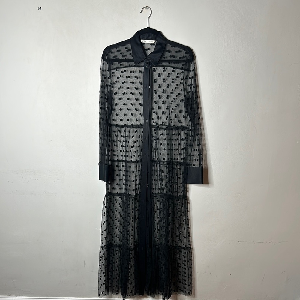 Zara Polka Dot Maxi Dress